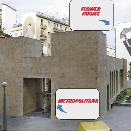 Πανσιόν Flower 3*